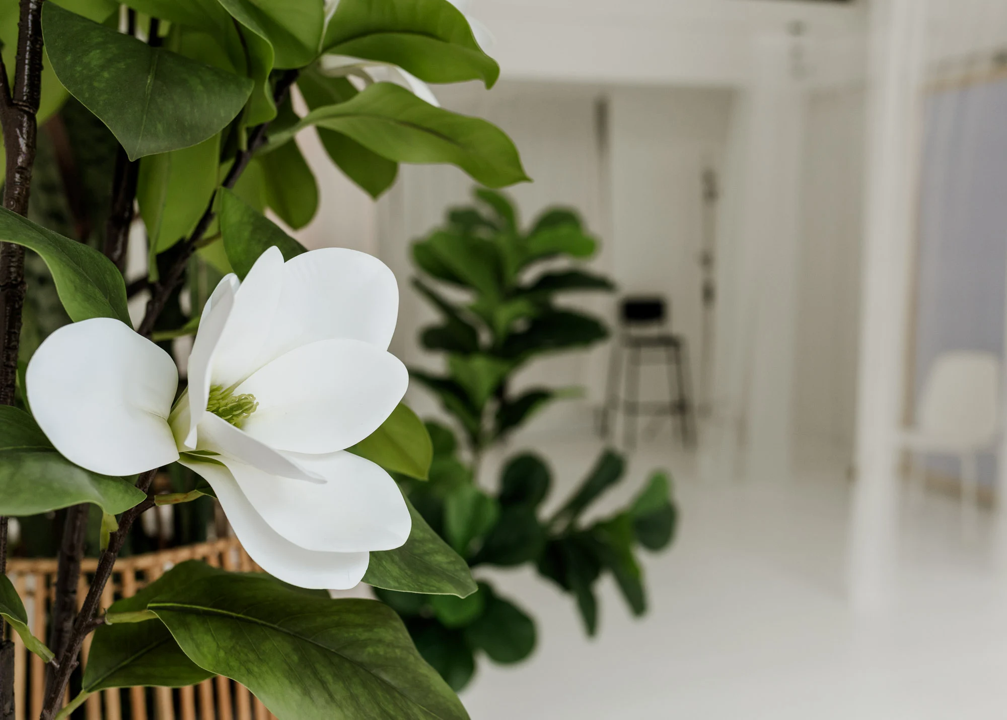 Close up beauty portrait emphasizing flawless skin tones and professional makeup
